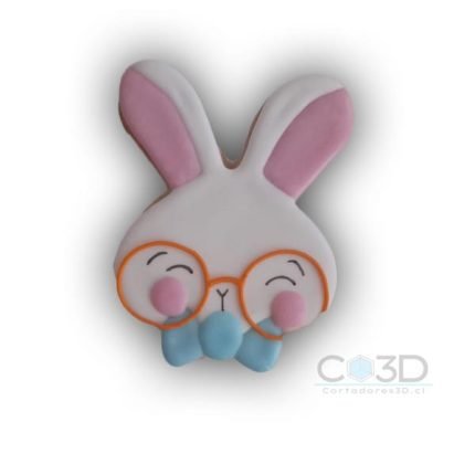 CARA DE CONEJO CON LENTES