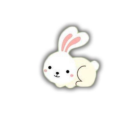 CONEJO