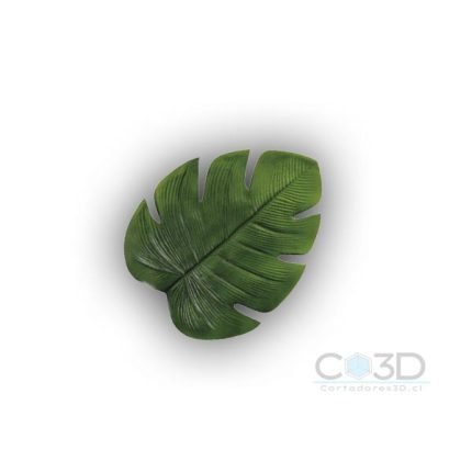 HOJA