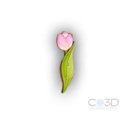 TULIPAN